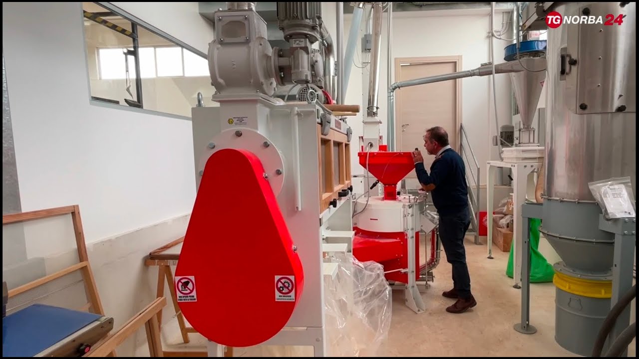 Corato, la filiera corta del grano