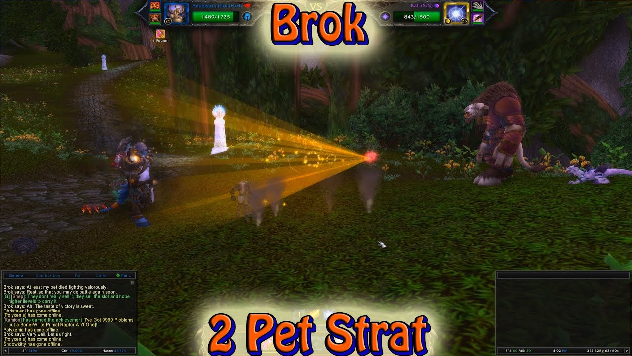 Brok 2 Pet Strategy
