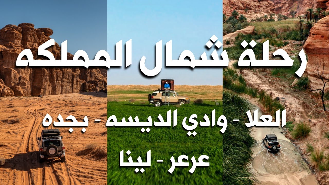 رحلة شمال المملكه  العلا |  وادي الديسه | بجده |  عرعر | لينا