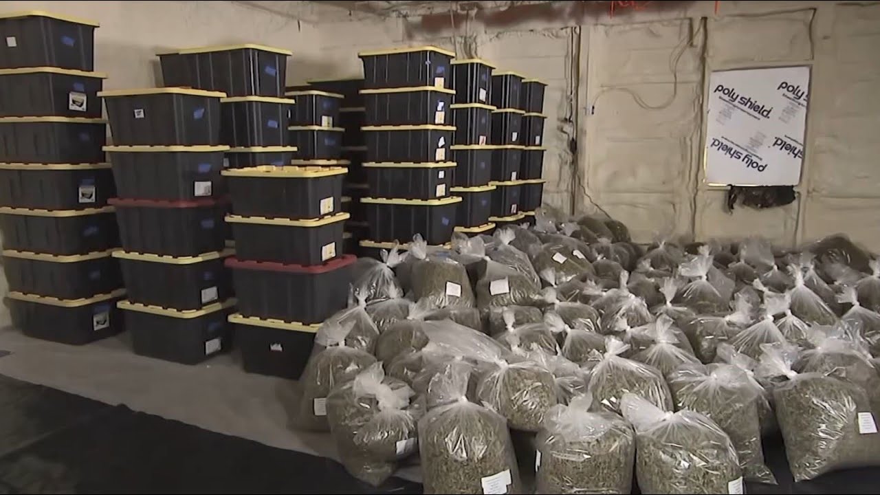 NY's 1st Legal Cannabis Dispensary Opens in Manhattan Today | El Minuto (English)