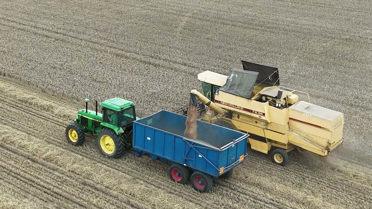 NEW HOLLAND TX34 CUTTING WINTER WHEAT #HARVEST