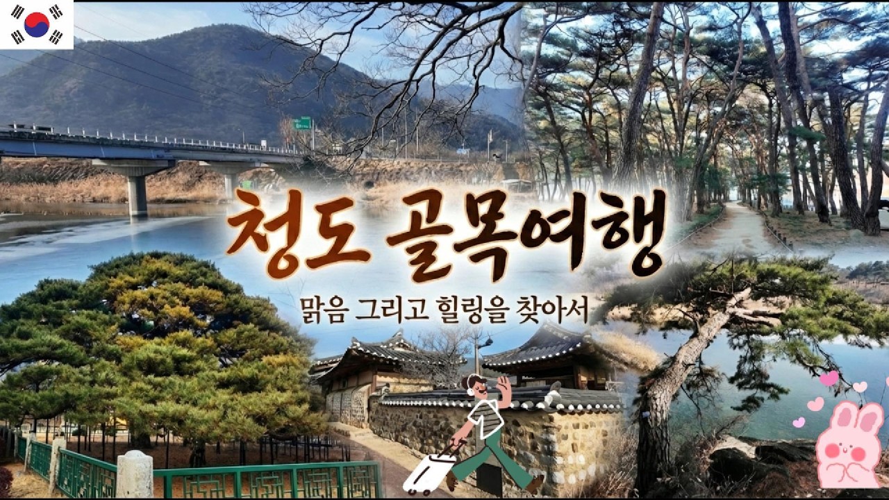 #동청도여행 #삼계리계곡 #신지고택 #동창천 #운문사 #솔바람길#운문댐 #힐링여행 #청도가볼만한곳 #국내여행브이로그