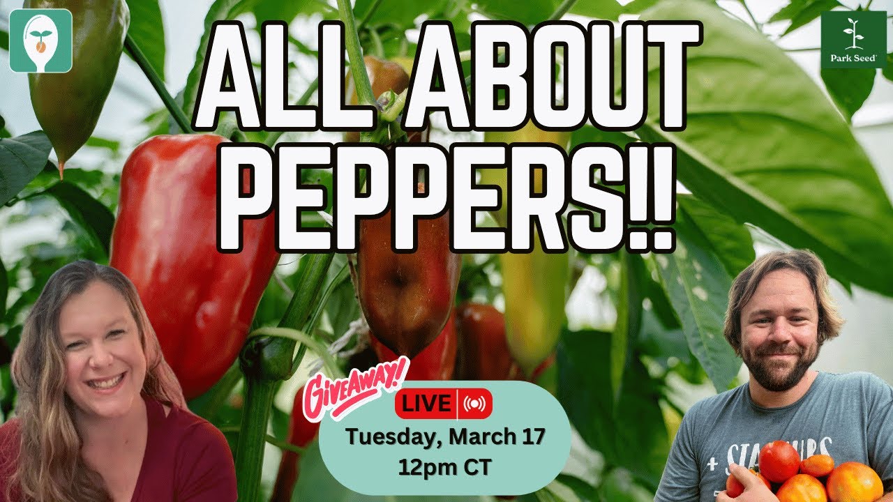 All About Peppers: Unique Varieties We’re Growing + Tips & Live Q&A!