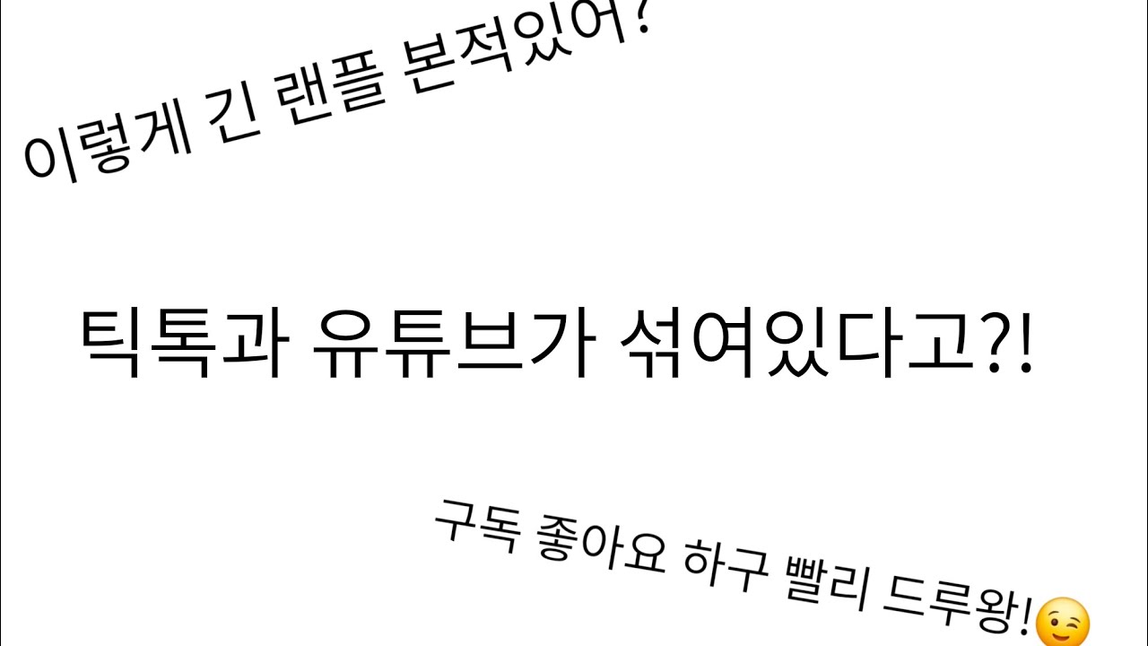 내가 하려고 만든 틱톡, 유튜브 랜플🤭