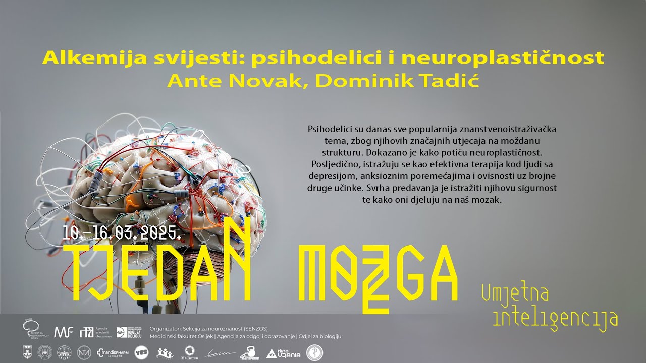 Alkemija svijesti: psihodelici i neuroplastičnost