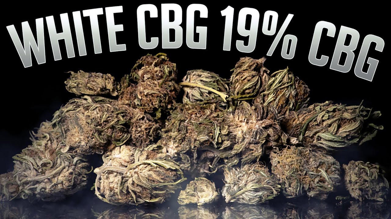 WHITE CBG 19% CBG | TheDispensary