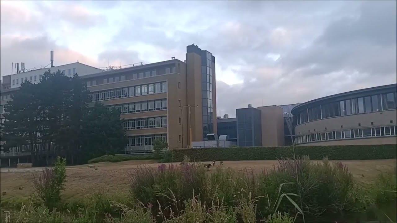 Rode Kruis Ziekenhuis Den Haag geschiedenis