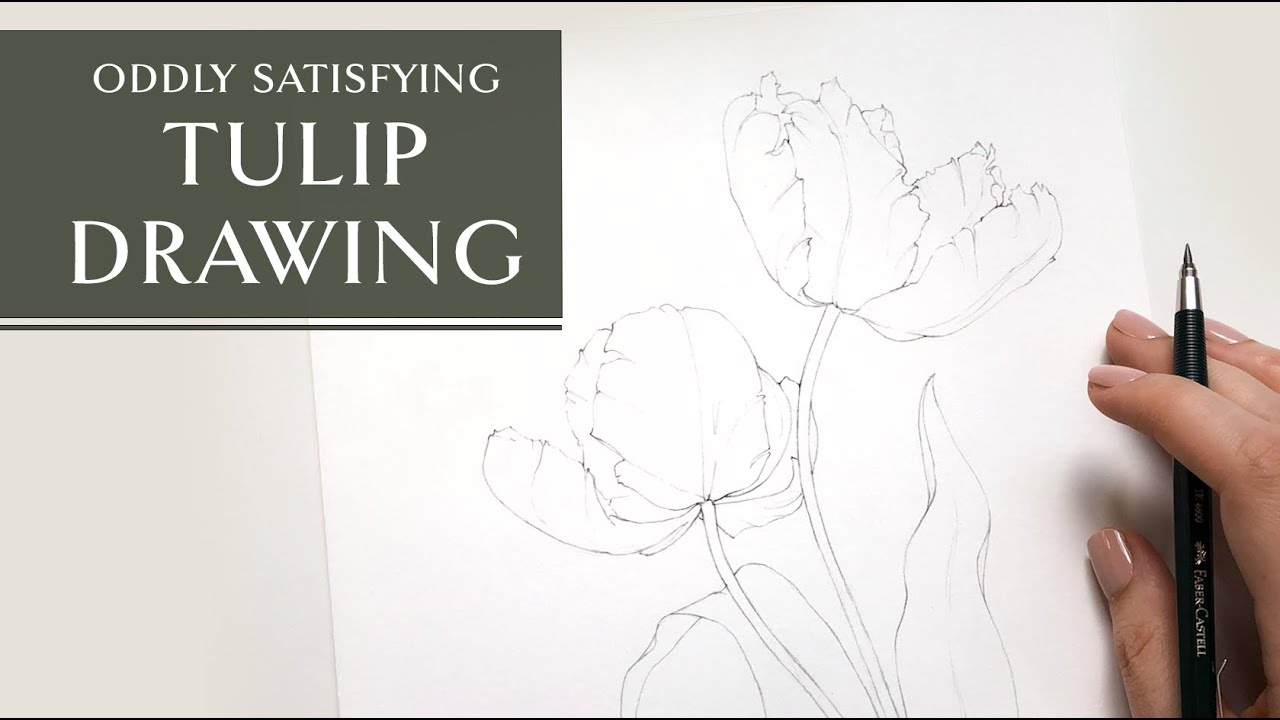 Real time tulip flower drawing - Oddly Satisfying Drawing Tutorial