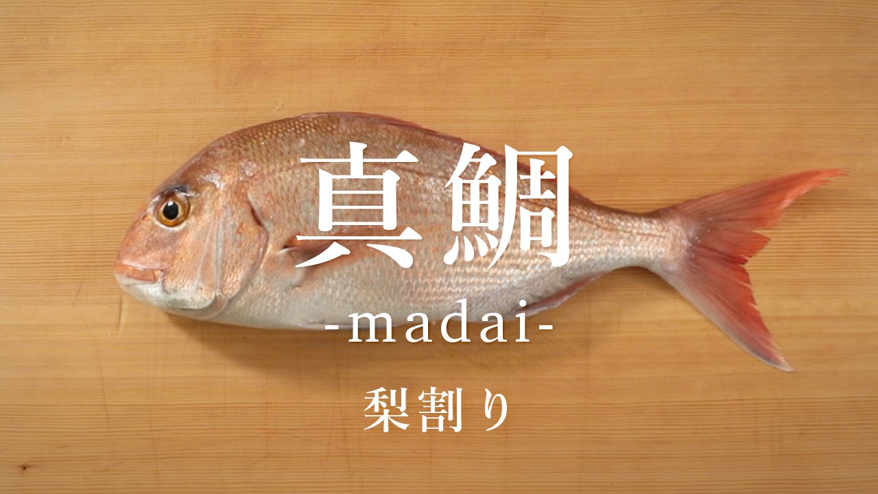 真鯛（まだい）のさばき方：梨割り - How to filet Red Sea Bream ver.Nashi Wari -｜日本さばけるプロジェクト（海と日本プロジェクト）