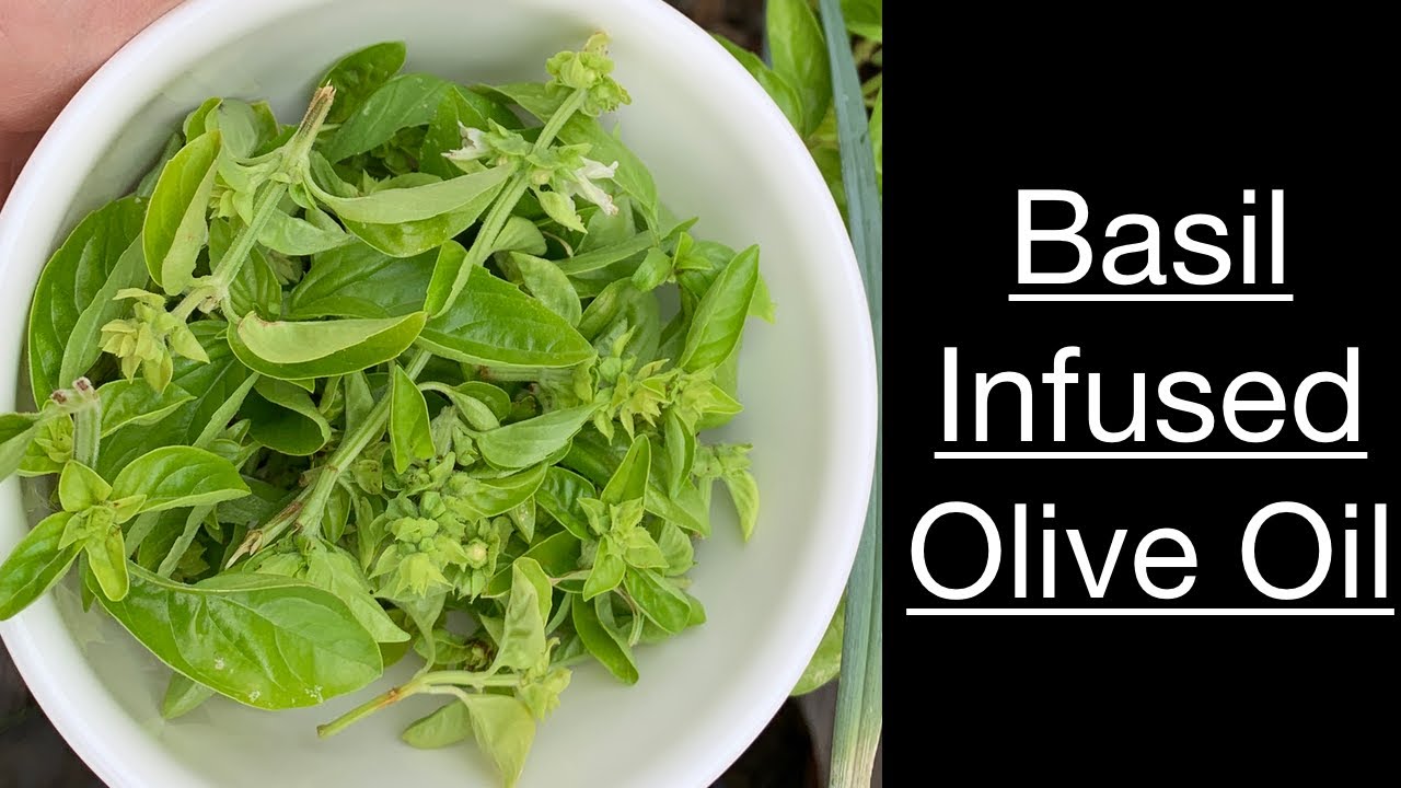 Basil Infused Olive Oil | A great way to use stems, flowers & buds | Chef Nicky Morse | Food Stylist