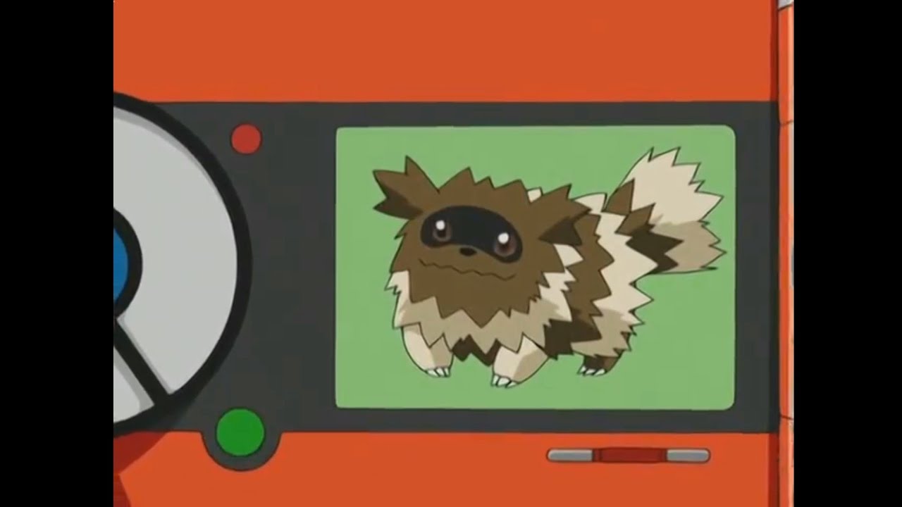 Zigzagoon and Linoone Pok&eacute;dex Entries..wmv