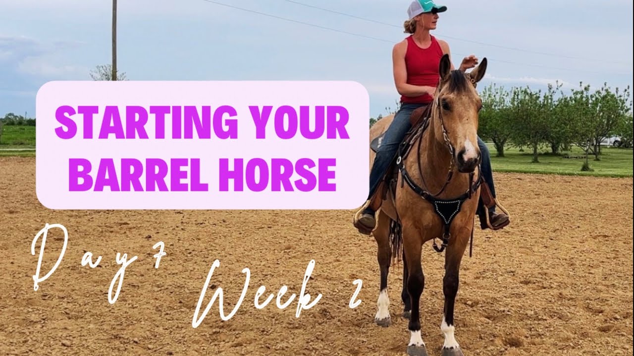 STARTING YOUR BARREL HORSE | From the beginning to first competition - Day 7 - Week 2|