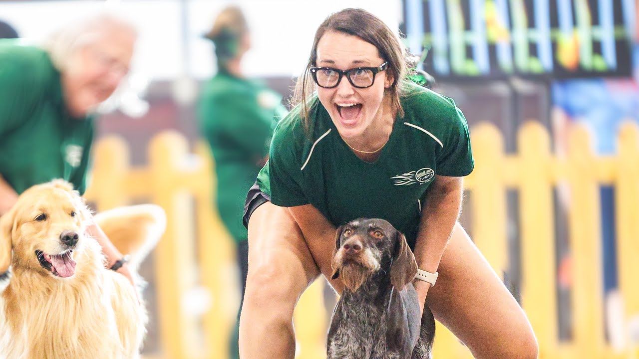 Flyball-A Championship by a Millisecond