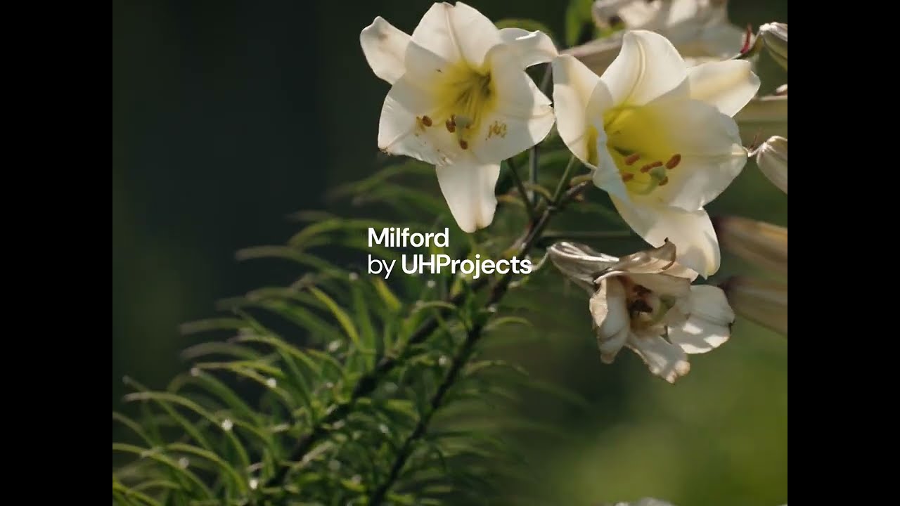 Milford by UH Projects – Location