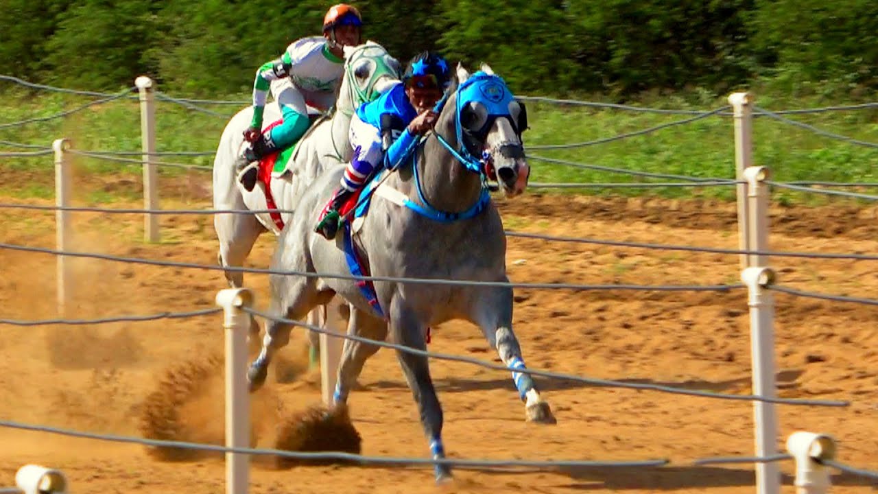 Especial - completo: O histórico GP BAHIA FUTURITY 2025!