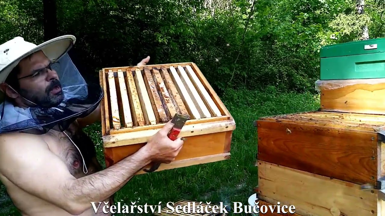 103/21 Optimalizované plodiště J5  Jedno chlubivé video pro kritiky. Včelařství Sedláček