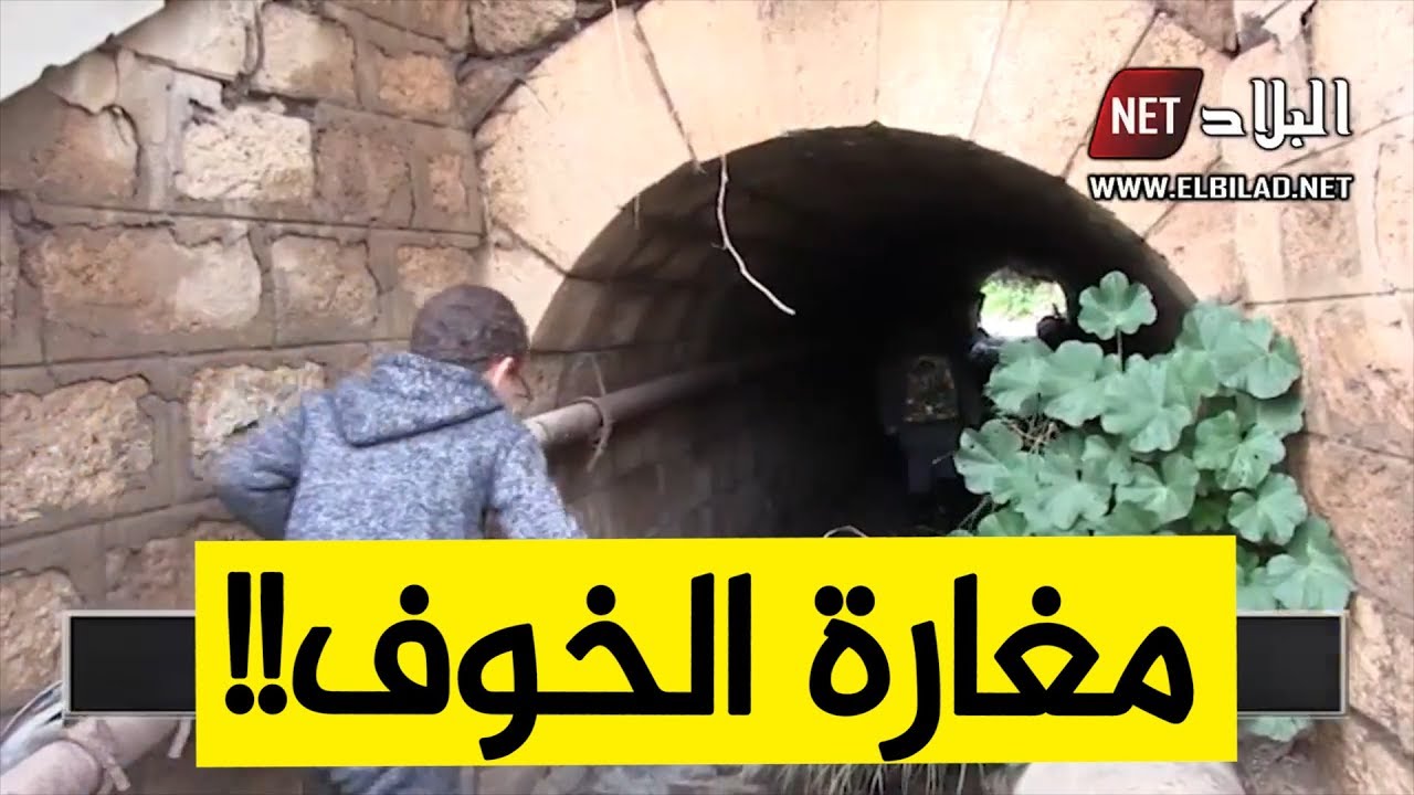 شاهدوا .. 