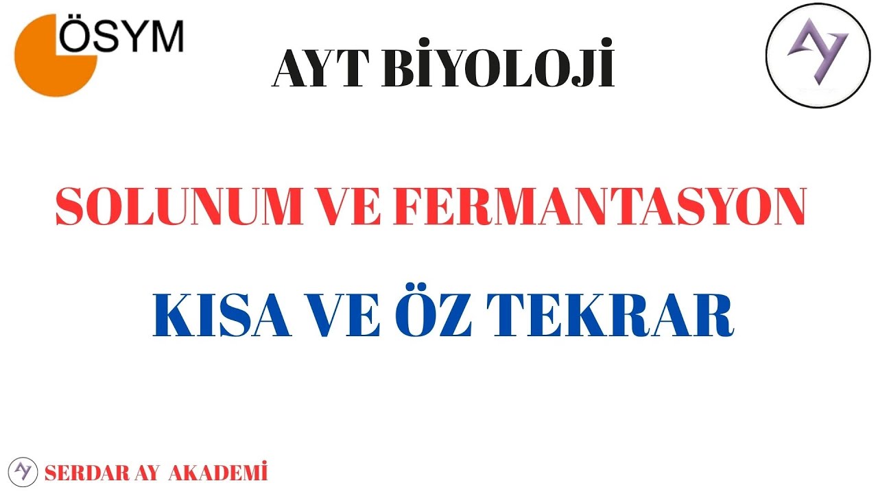 SOLUNUM VE FERMANTASYON KISA VE ÖZ TEKRAR + PDF( YKS 4.SÜNDEN)