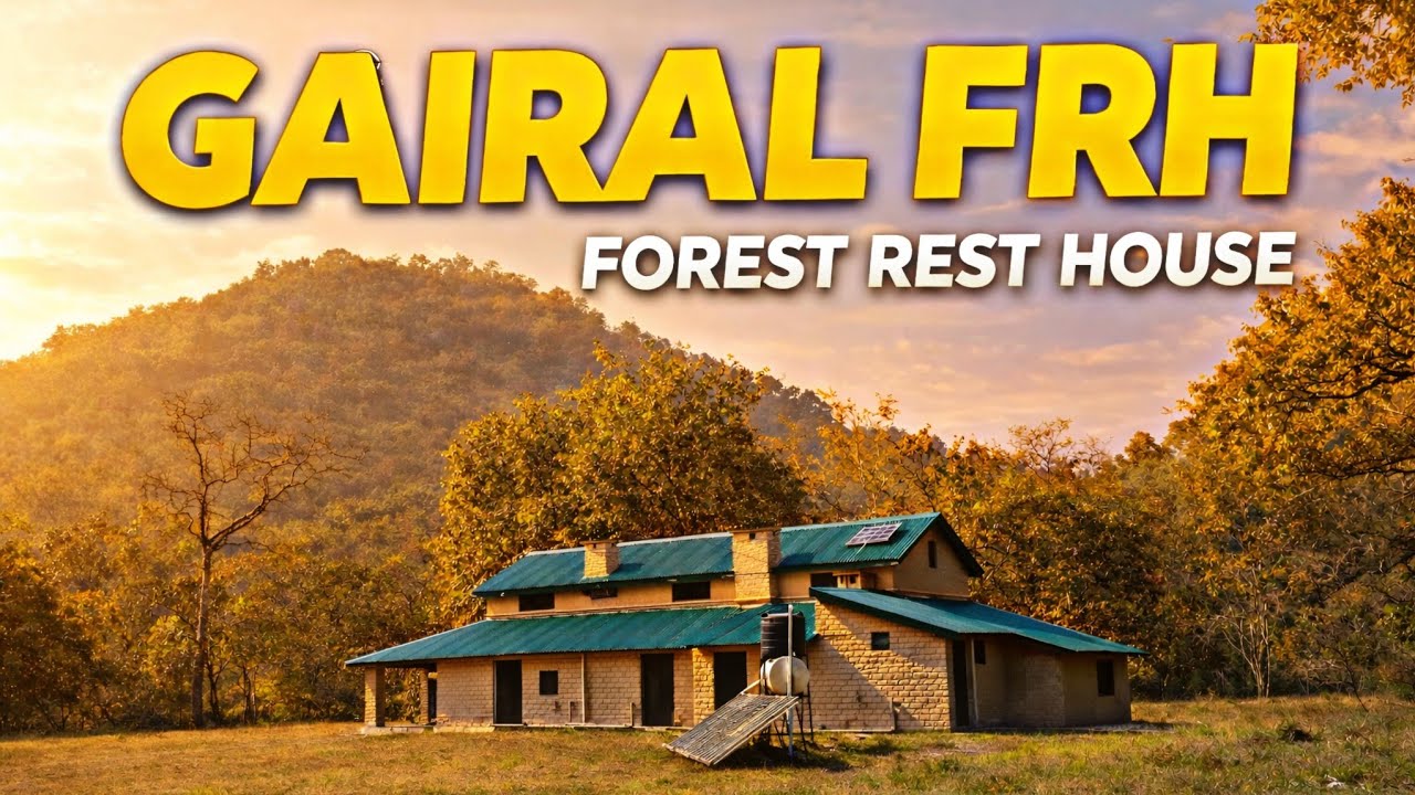 घने जंगल में बसा एक FRH ( heaven on earth)#wildlife #wildlifewithsanjeev#corbetttigerreserve#tiger