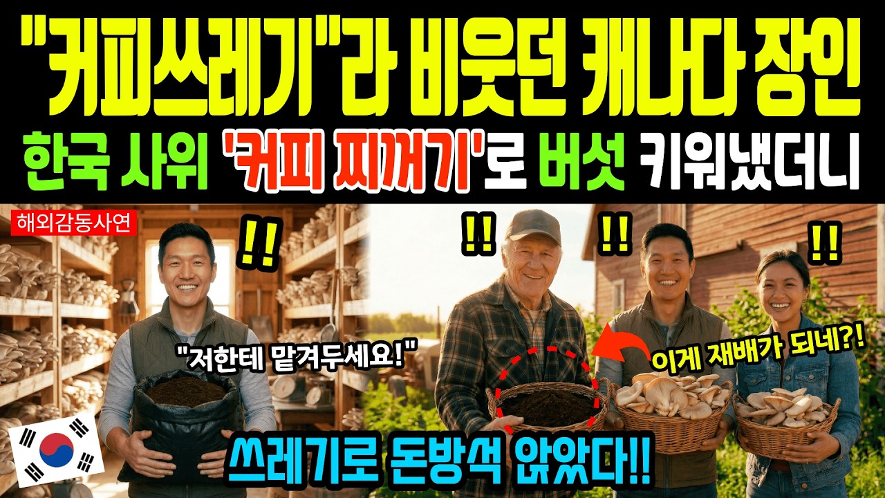 [해외감동사연] 