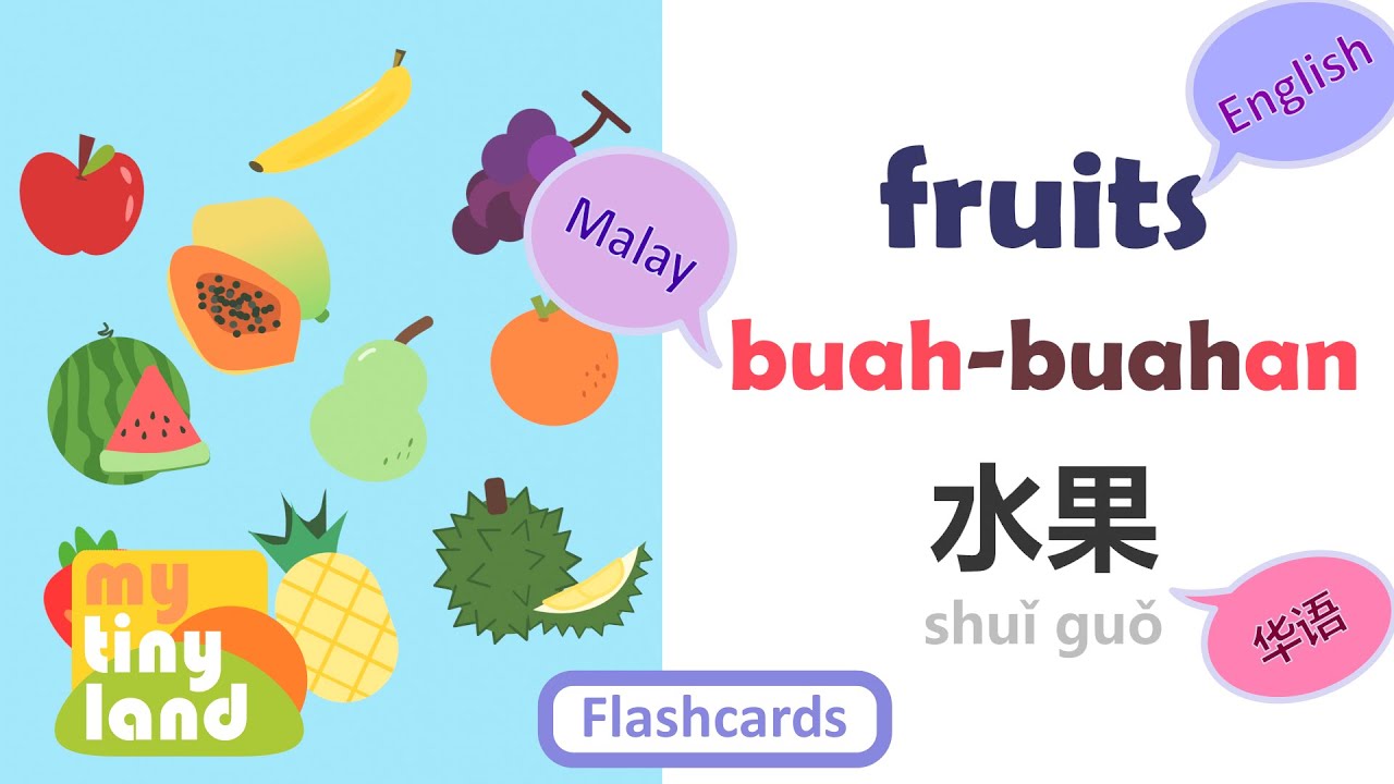 Learn Fruit Names in English, Bahasa Melayu, and Chinese!| Flashcards for 3 Languages |My Tiny Land