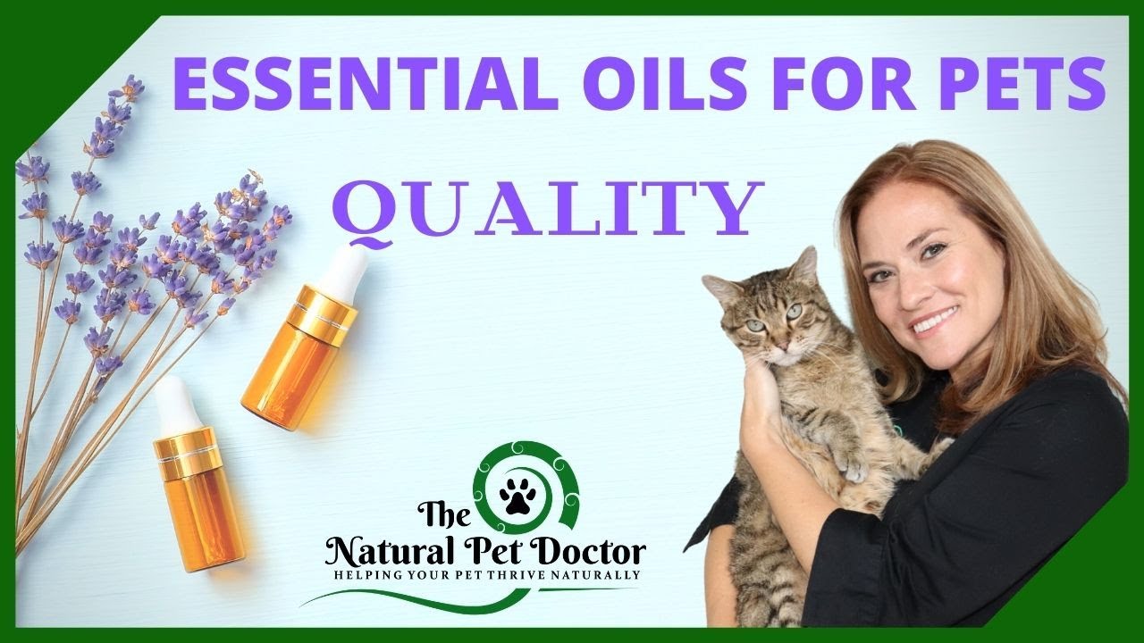 How To Assess Quality in Essential Oils for Pets with Dr. Katie The Natural Pet Doctor