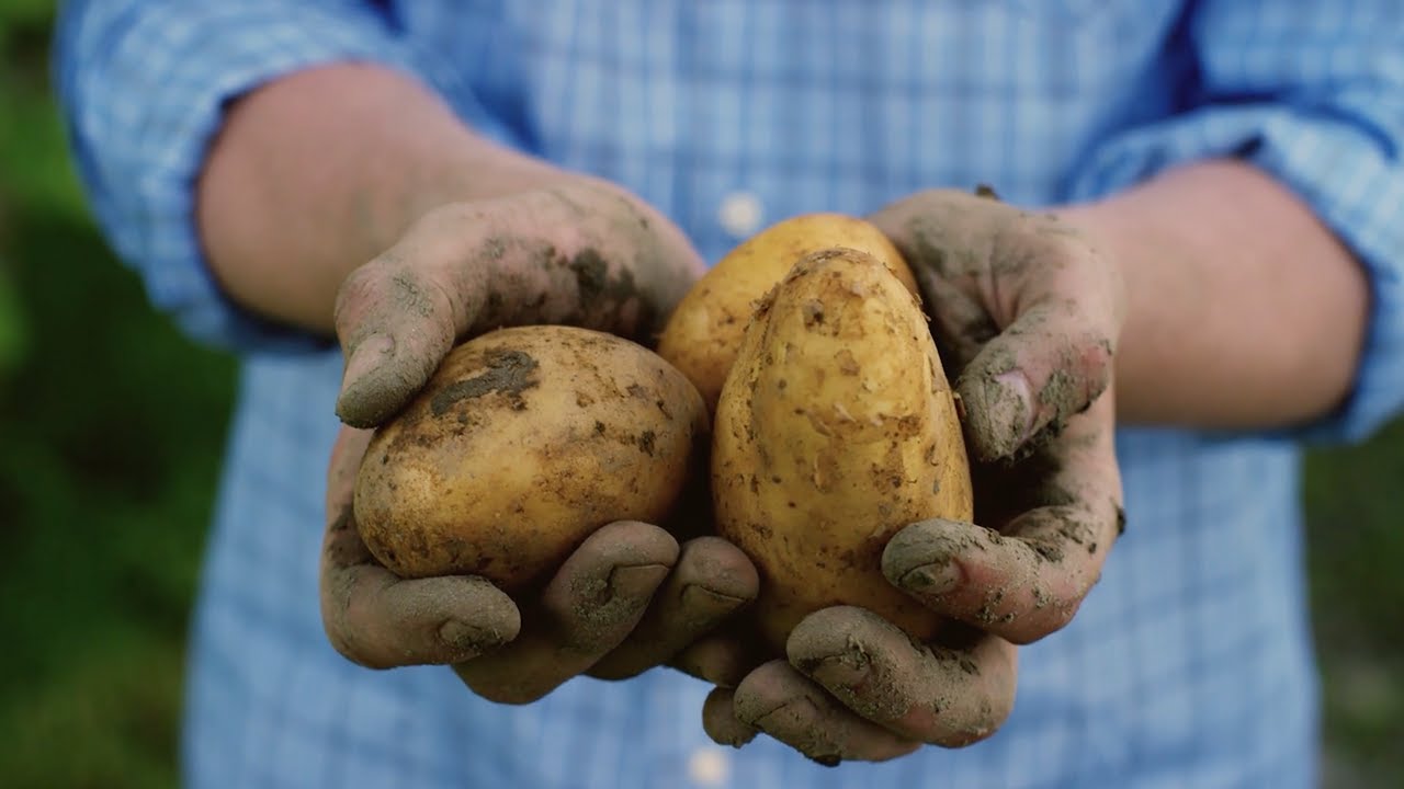 Somos o Consello Regulador de Agricultura Ecolóxica de Galicia, Somos CRAEGA