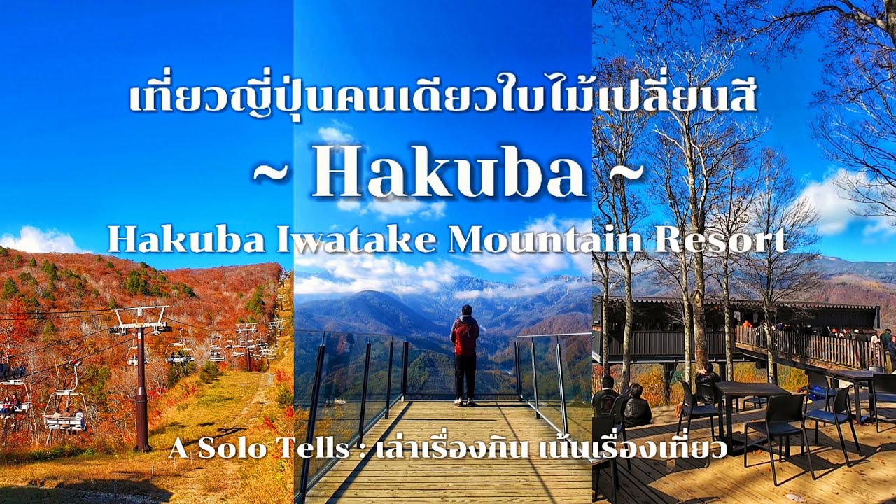 ญี่ปุ่นคนเดียวใบไม้เปลี่ยนสี 2024 : Day 4 : Hakuba Iwatake Mountain Resort : Ramen Misoya