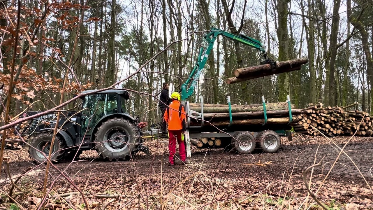 Pfanzelt S6 beim Kiefern laden