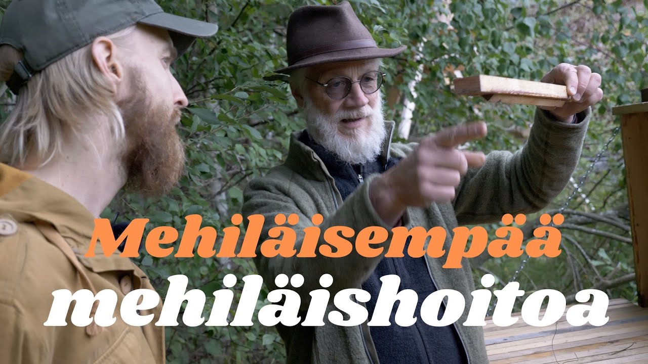Mehil&auml;isemp&auml;&auml; mehil&auml;ishoitoa | Permakulttuuria Iso-orvokkiniityll&auml; (ep. 5/6)