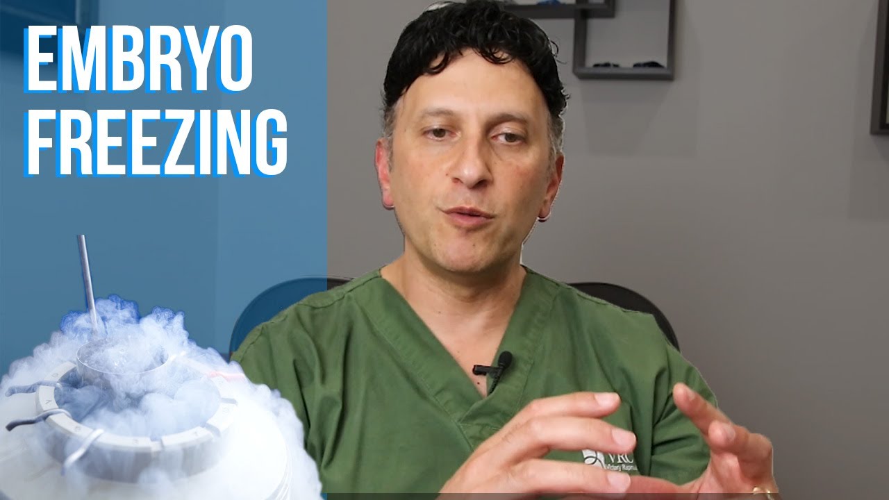 Is it better to Freeze or Not Freeze Embryos