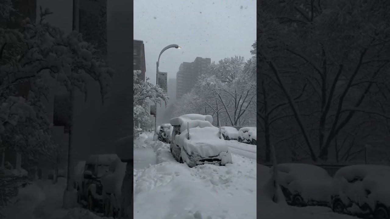 New York city #newyork #snow #morning#usa #travel #today #, #snowstorm #america
