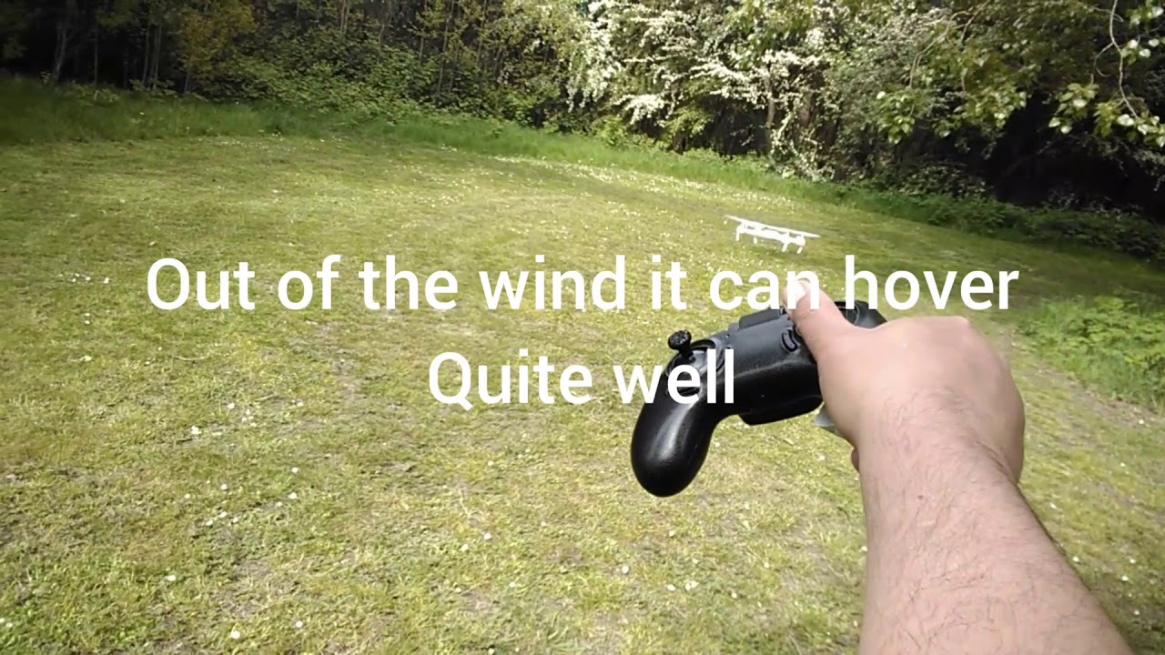 Helicute petrel review, &pound;10 Drone