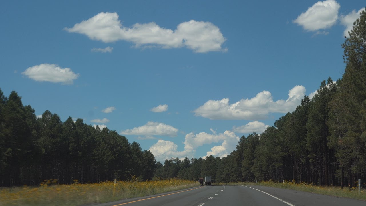 Texas to California Road Trip | Scenic Views, Vegas Pit Stop, & Traveling with My Dogs