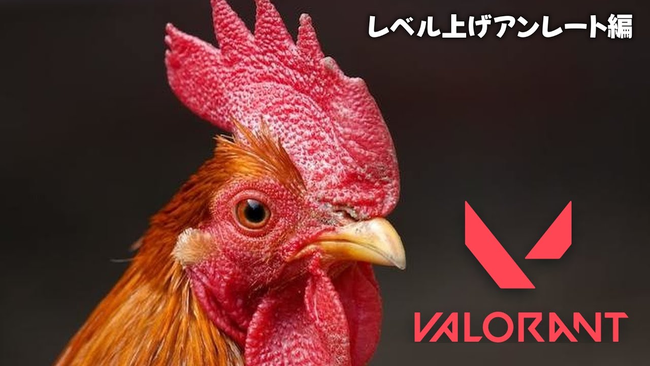 【Street Fighter 6→Valorant】20レべルいく