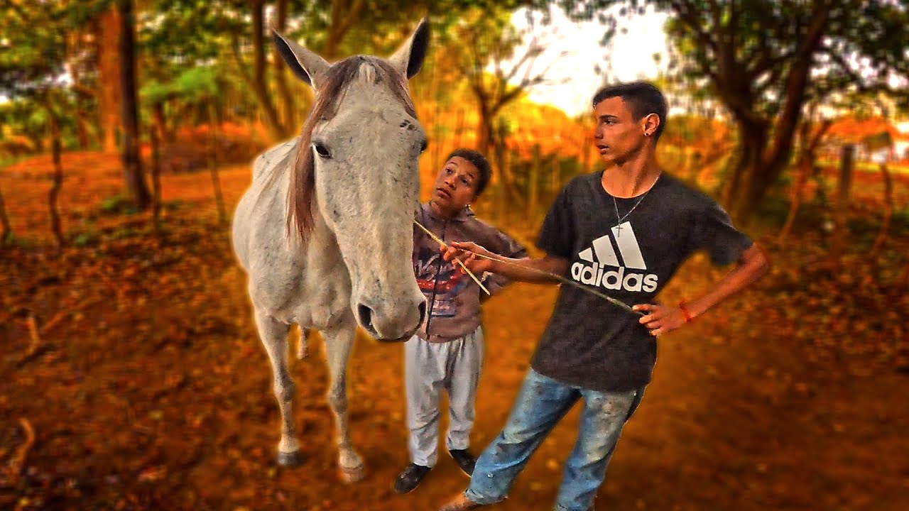 ESSE CAVALO BRANCO TEM DONO * O Vitinho comprou e me humilhou *