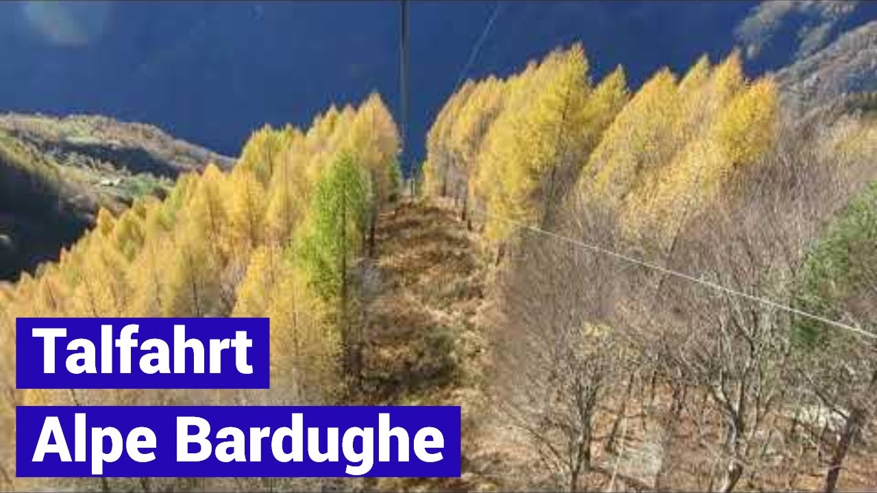 Vogorno - Alpe Bardughe Talfahrt private Luftseilbahn funivia Seilbahn Schweiz
