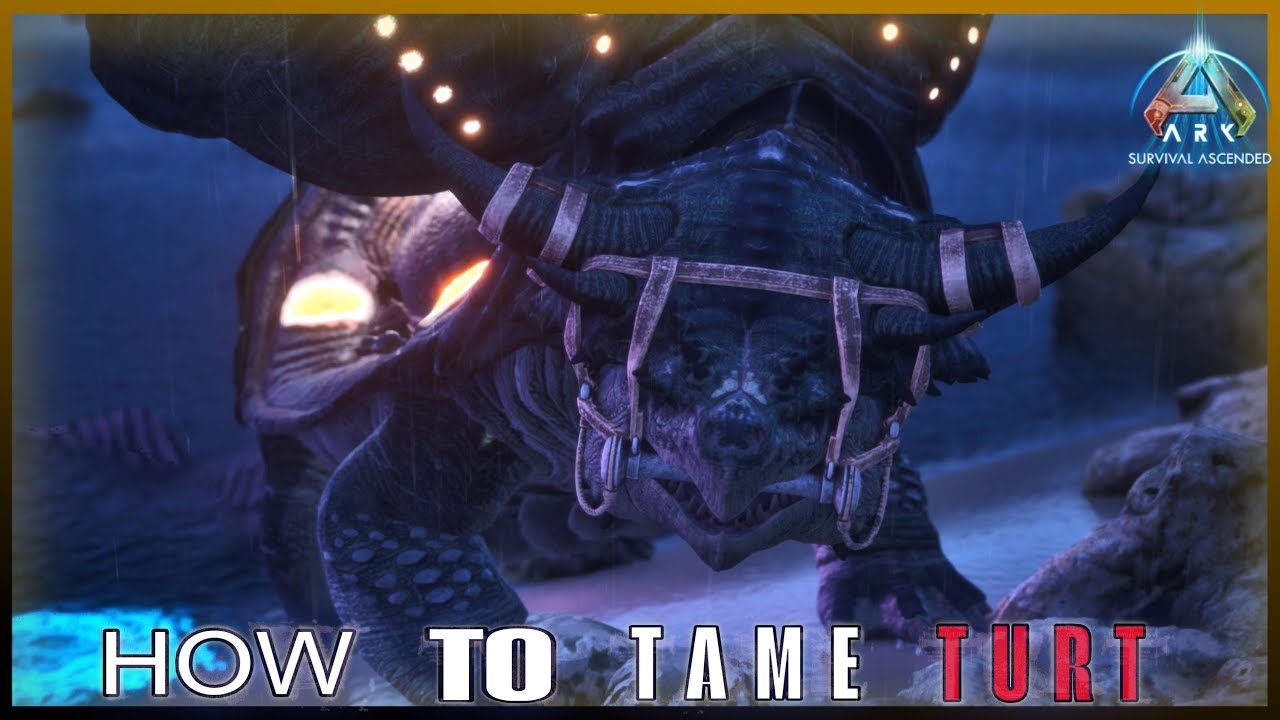 How to tame The TORTUGAR!!
