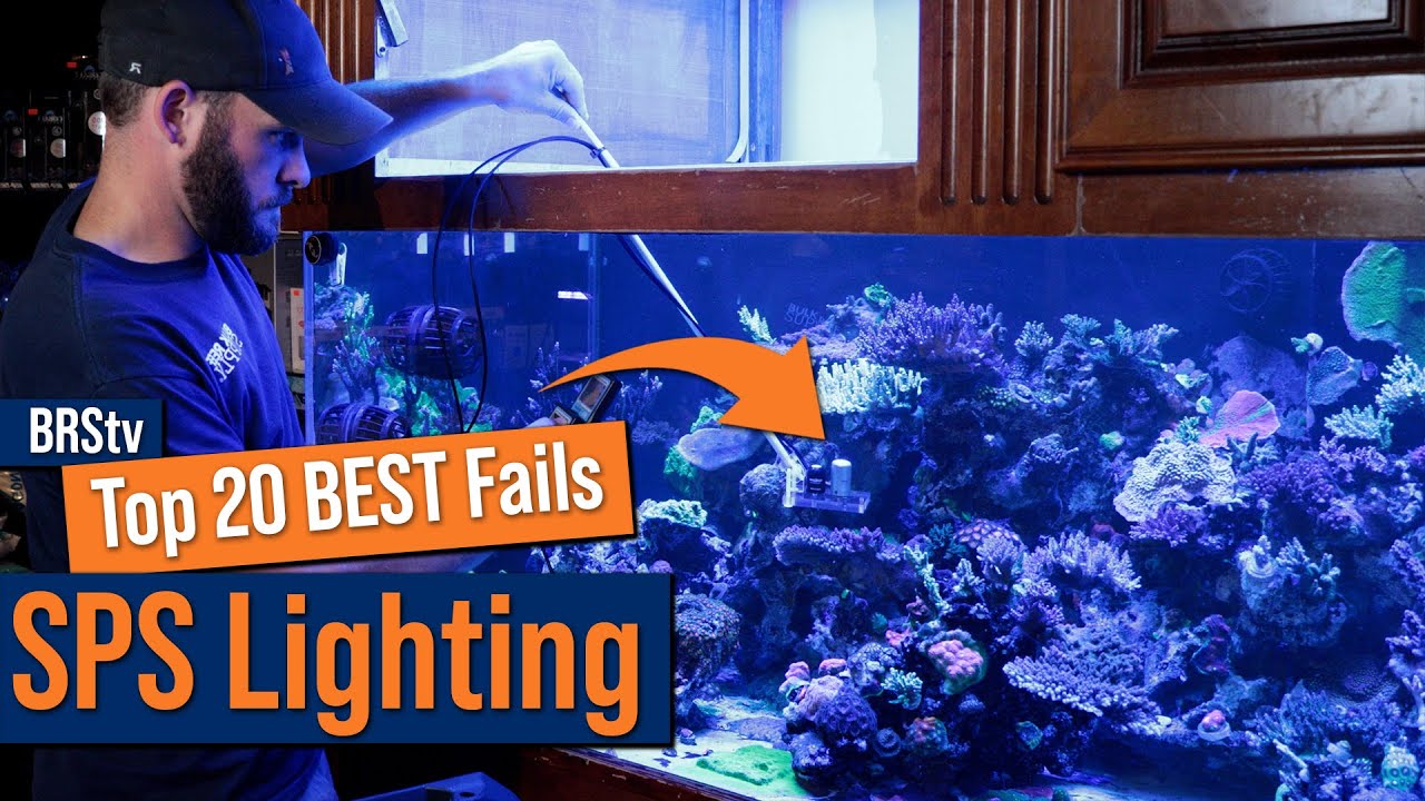 The Secret to the Most Epic SPS Coral Is Avoiding These SPS Dominated Reef Tank Lighting Mistakes.