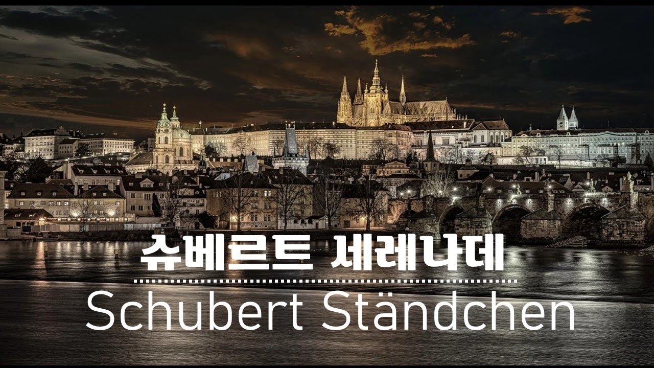 슈베르트 - 세레나데  | Schubert [Serenade D.957, No.4] 첼로 원지혜