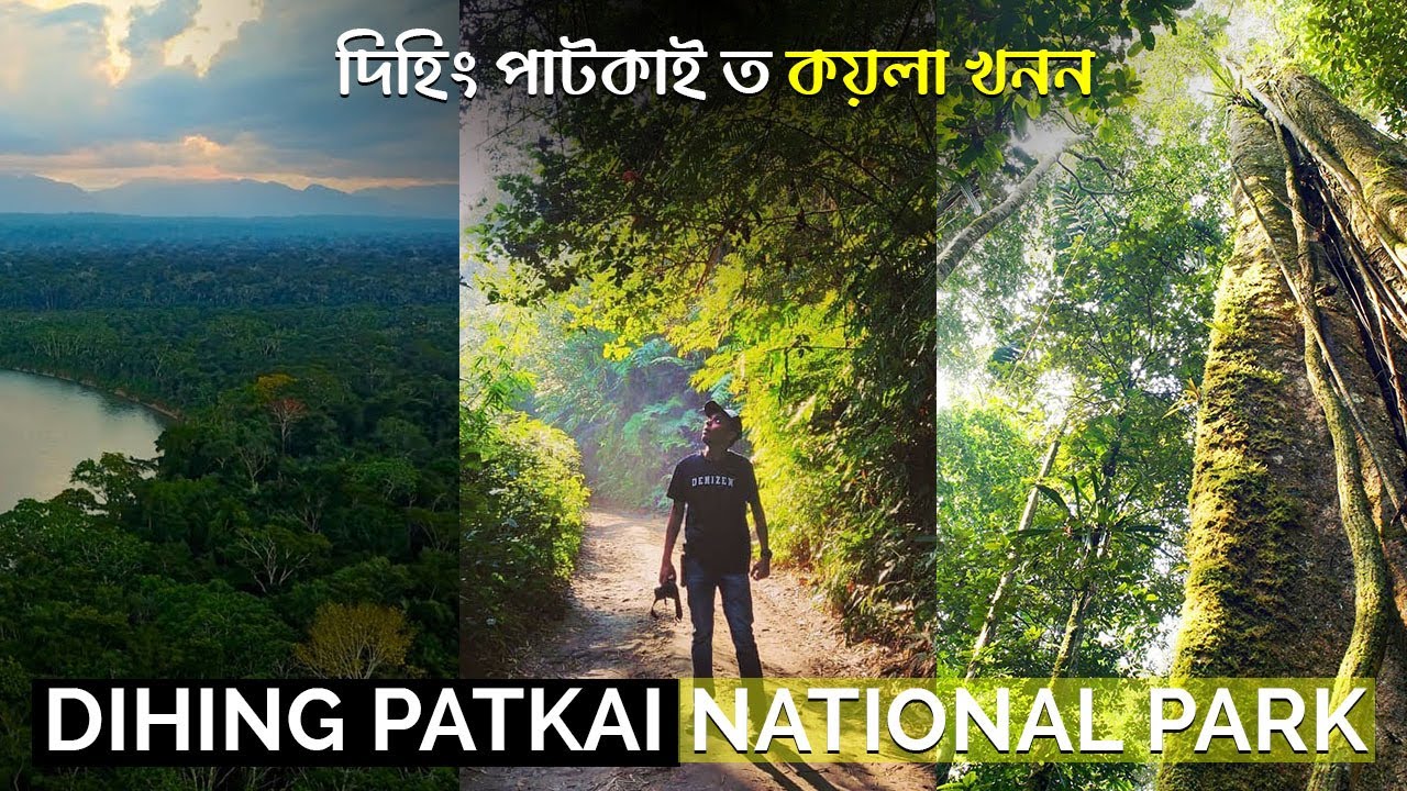 New National Park of Assam | We have forgotten This | The Coal Mining | Dihing Patkai National Park