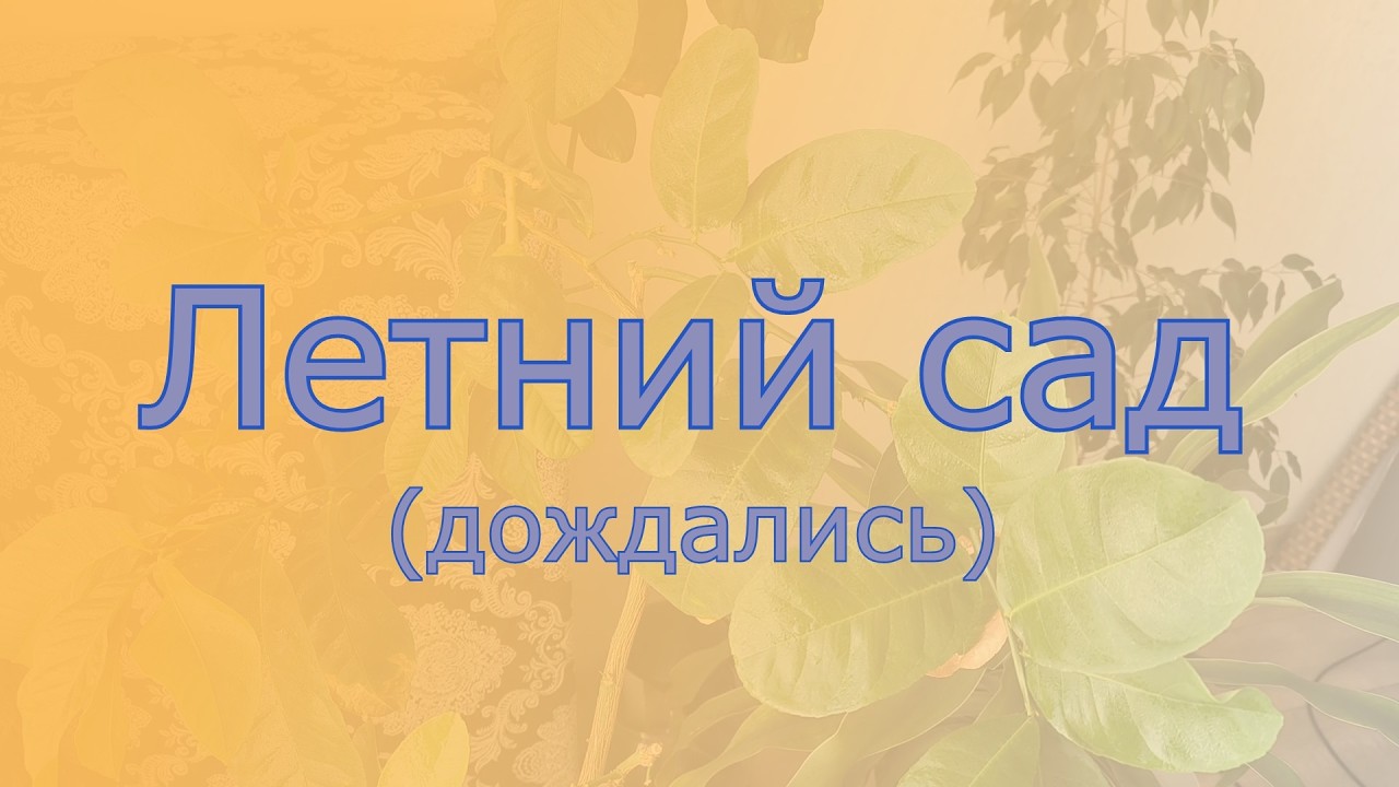 Летний сад
