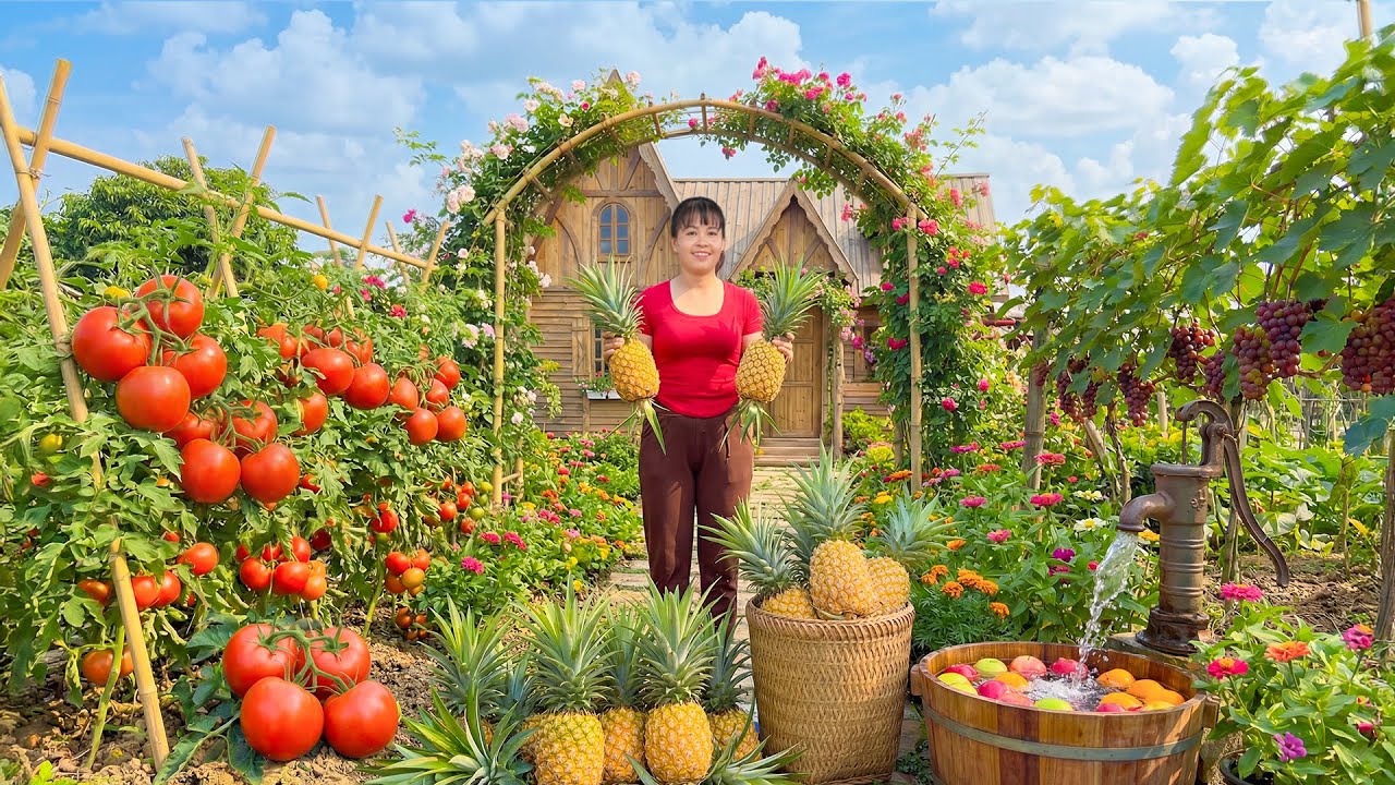 TIMELAPSE -- Life in the Peaceful Farm: Harvesting Giant Pineapple, Go to Sell (Full Process)