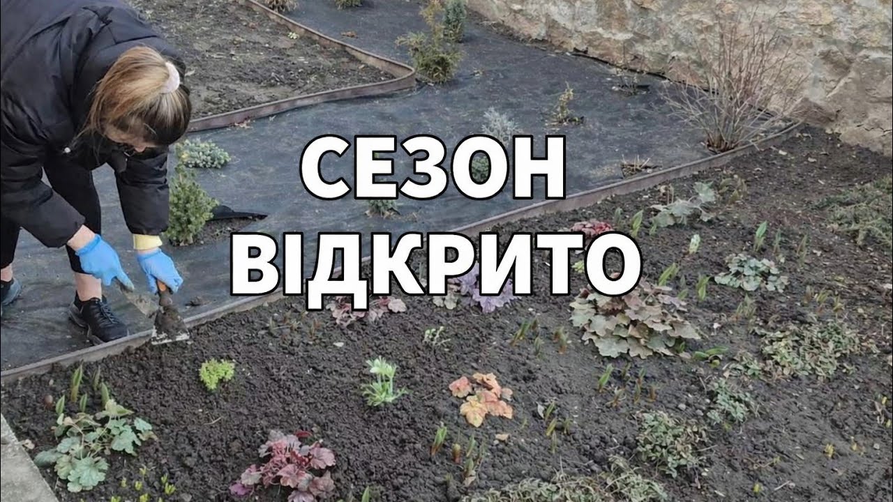 Висаджую рослини у відкритий грунт 🙂Планую клумби у саду👍