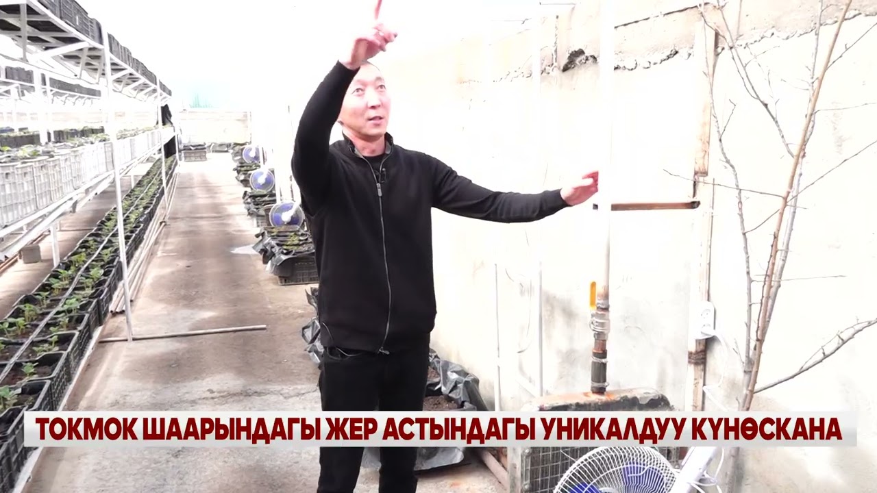 ТОКМОКТОГУ ЖЕР АСТЫНДАГЫ КҮНӨСКАНА