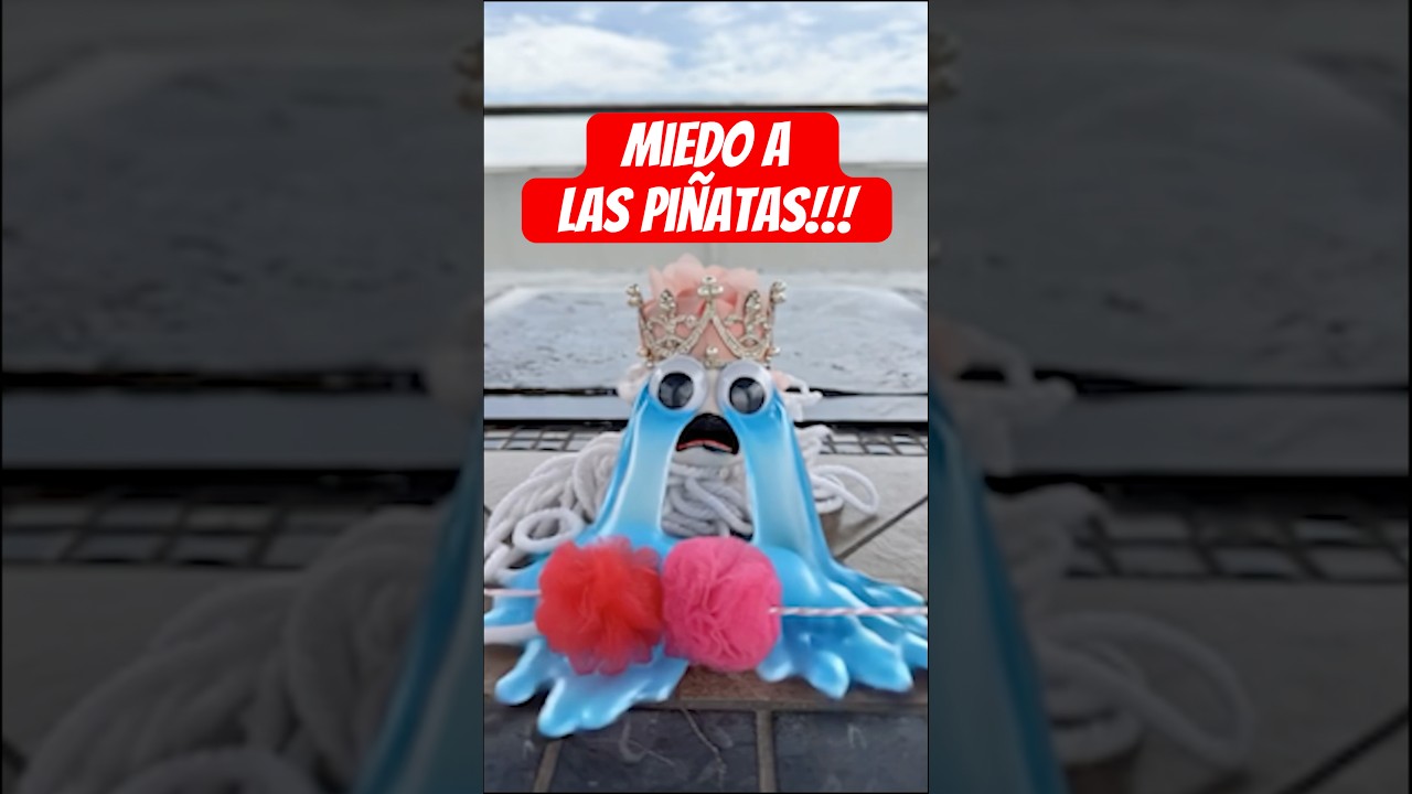 Miedo a las pi&ntilde;atas 😱🤣🤣