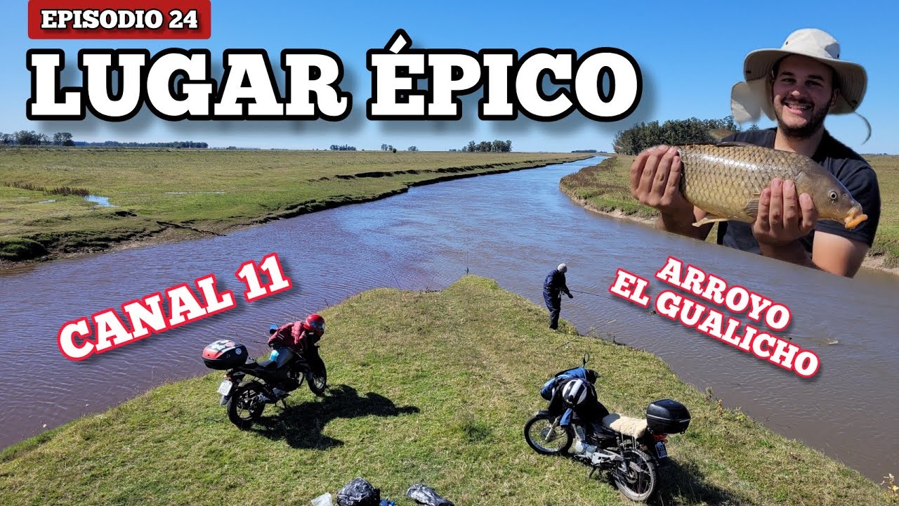 Pesca en canal 11 y Arroyo el Gualicho, carpas y Dientudos // Pescamos sobre una Horqueta , MJ-PESCA