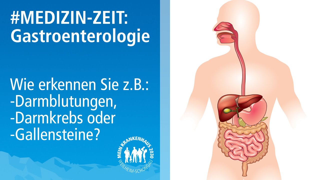 #Medizinzeit: Gastroenterologie | Wissenswertes &uuml;ber Ihren gesamten Verdauungsapparat