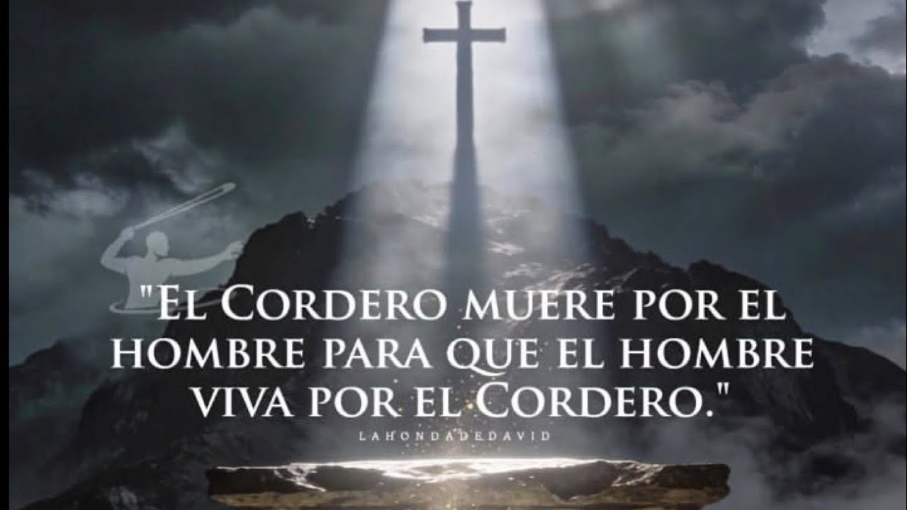 Mi vida en Estados Unidos  está en vivo