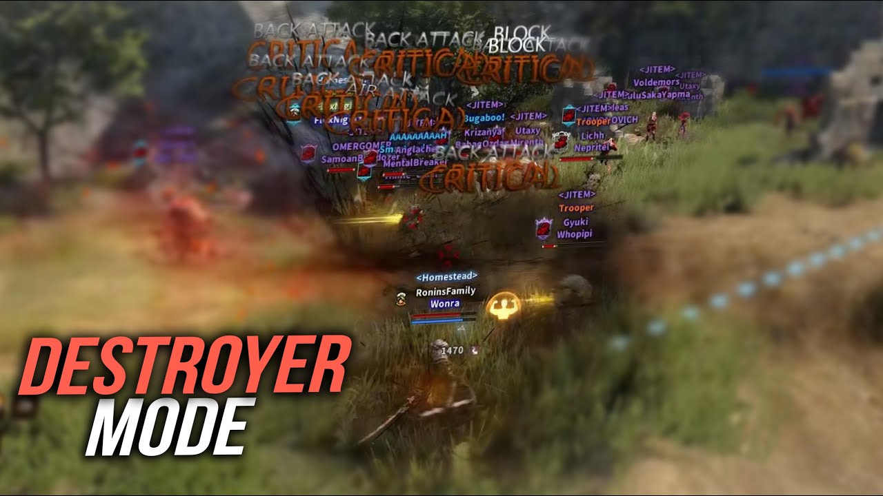 DESTROYER Mode | T1 Succ Hashashin Node War | Black Desert Online